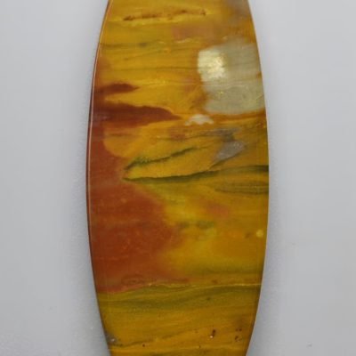 Araucarioxylon-23.57-ct.jpg