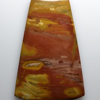 Araucarioxylon-petrified-wood-106.63-ct.jpg