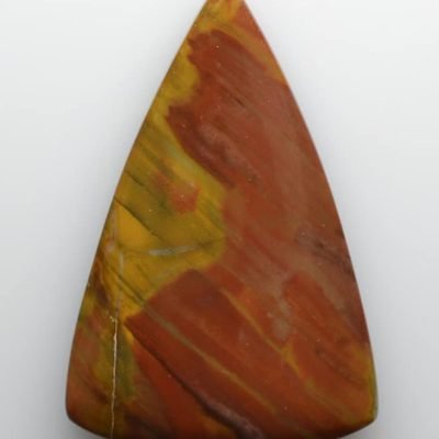 Araucarioxylon-petrified-wood-26.43-ct.jpg
