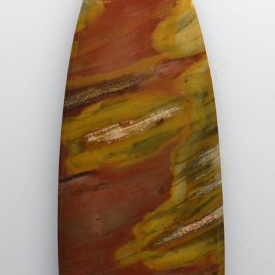Araucarioxylon-petrified-wood-33.51-ct.jpg