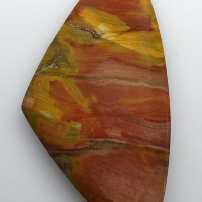 Araucarioxylon-petrified-wood-39.84-ct.jpg