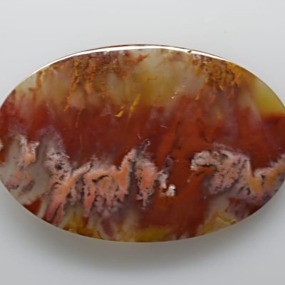 Bird-of-paradise-agate-26.60-ct.jpg