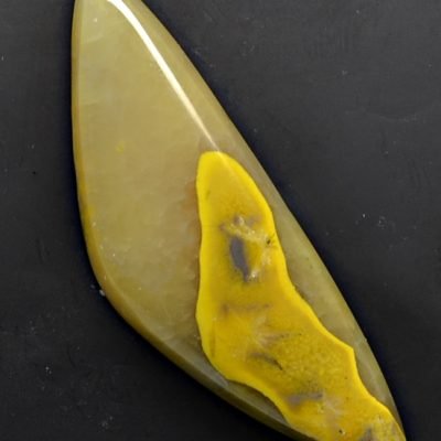 Bumble-bee-31.23-ct.jpg