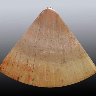 Calamites-petrified-wood-16.23-ct.jpg