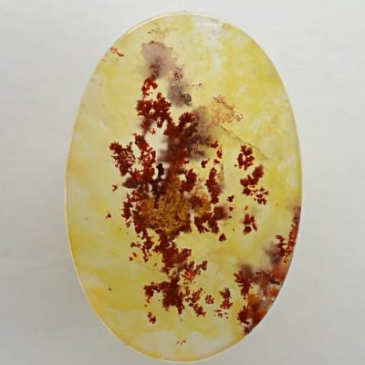 Carey-plume-agate-16.39-ct.jpg
