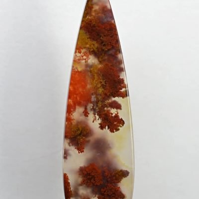 Carey-plume-agate-19.04-ct.jpg