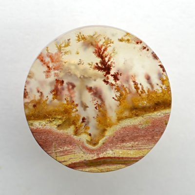 Carey-plume-agate-21.22-ct.jpg
