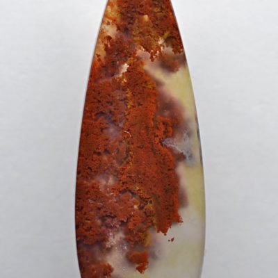 Carey-plume-agate-24.19-ct.jpg