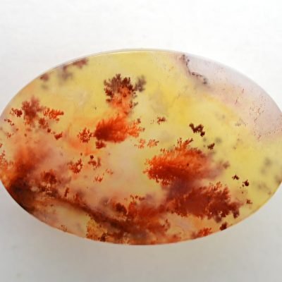 Carey-plume-agate-25.89-ct.jpg