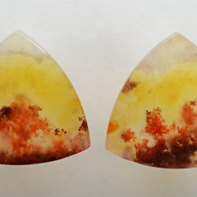 Carey-plume-agate-26.84-ct.jpg