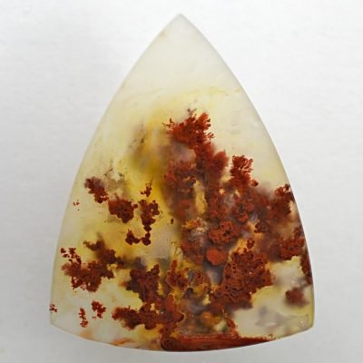 Carey-plume-agate-30.74-ct.jpg