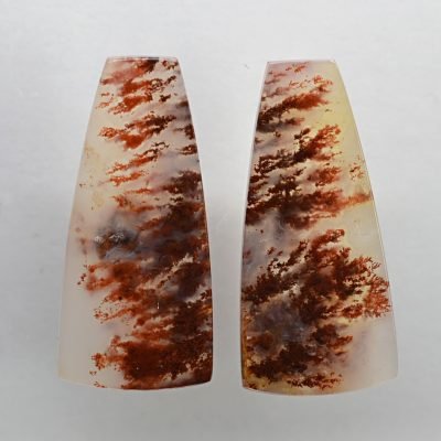 Carey-plume-agate-32.56-ct.jpg