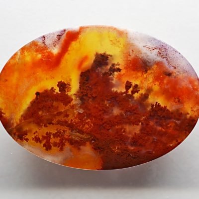 Carey-plume-agate-43.82-ct.jpg