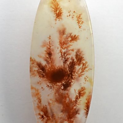 Carey-plume-agate-48.03-ct.jpg