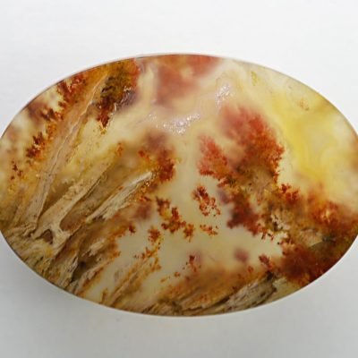 Carey-plume-agate-64.06-ct.jpg