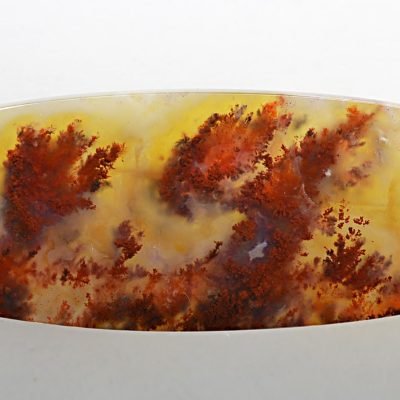 Carey-plume-agate-98.62-ct.jpg
