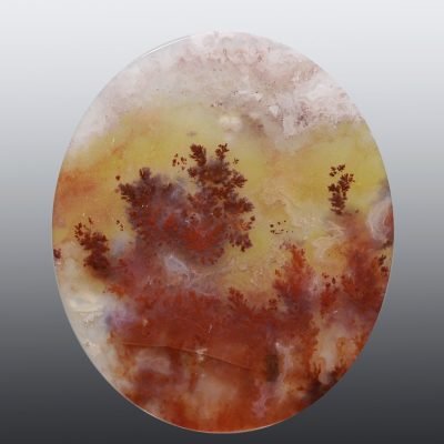 Cary-plume-agate-83.28-ct.jpg