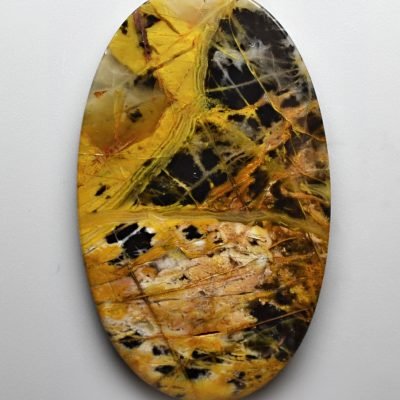 Cheetah-agate-57.83-ct.jpg