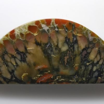 Coprolite-40.85-ct.jpg