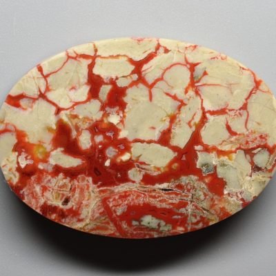 Coprolite-44.43-ct.jpg