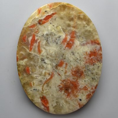 Coprolite-61.56-ct.jpg
