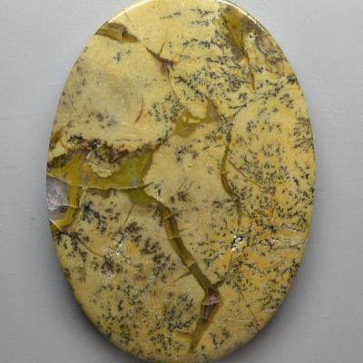 Coprolite-68.67-ct.jpg