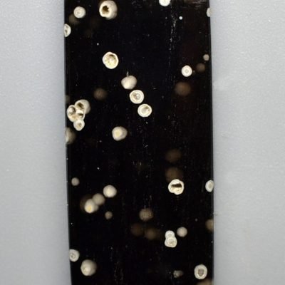 Cosmic-obsidian-17.62-ct.jpg