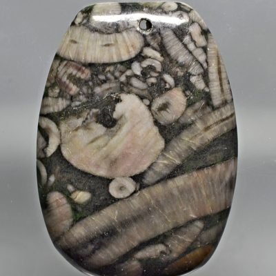 Crinoidal-limestone-107.36-ct.jpg