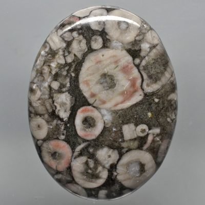 Crinoidal-limestone-59.29-ct.jpg