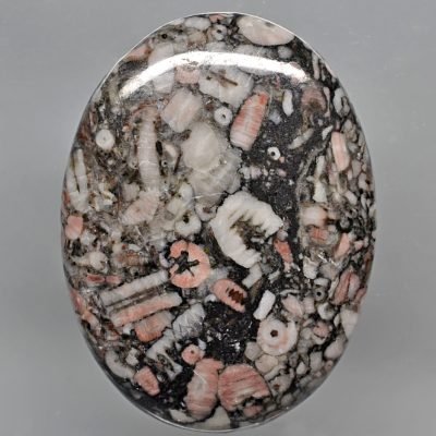 Crinoidal-limestone-59.56-ct.jpg