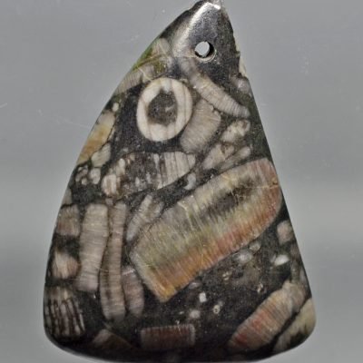 Crinoidal-limestone-80.98-ct.jpg