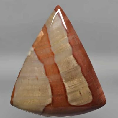 Dadoxylon-60.00-ct.jpg