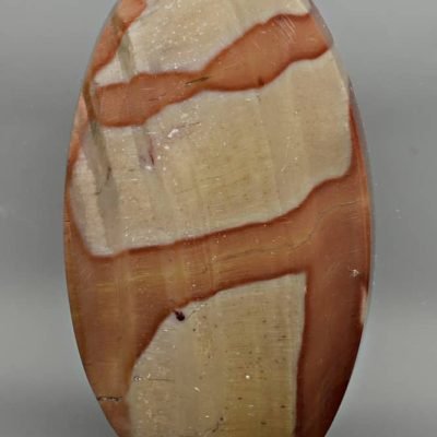 Dadoxylon-82.10-ct.jpg