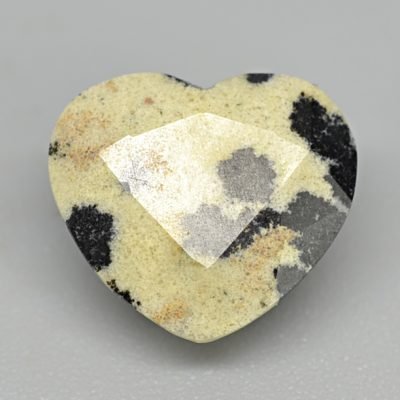 Dalmatian-jasper-3.02-ct.jpg