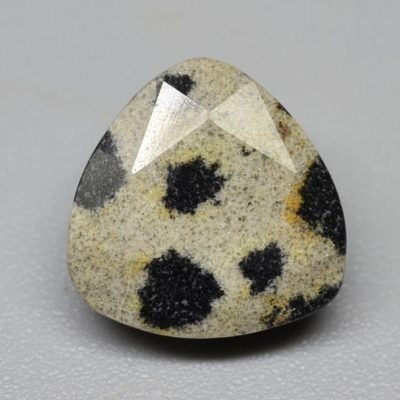 Dalmatian-jasper-3.10-ct.jpg