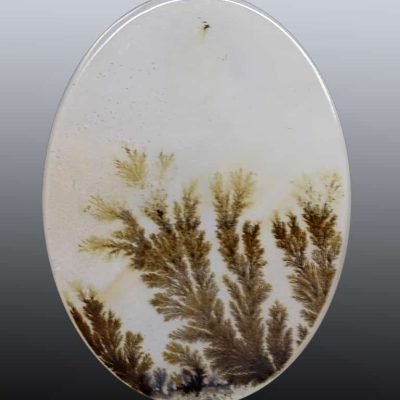 Dendritic-agate-15.56-ct.jpg