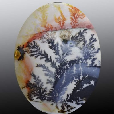 Dendritic-agate-289.30-ct.jpg