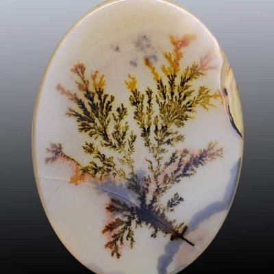 Dendritic-agate-83.72-ct.jpg
