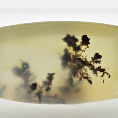Dendritic-opal-5.61-ct.jpg