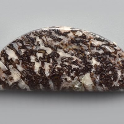 Dinosaur-bone-17.31-ct.jpg