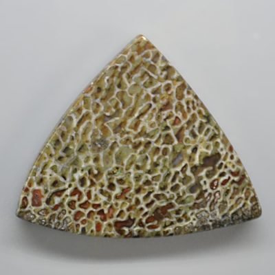 Dinosaur-bone-21.56-ct.jpg