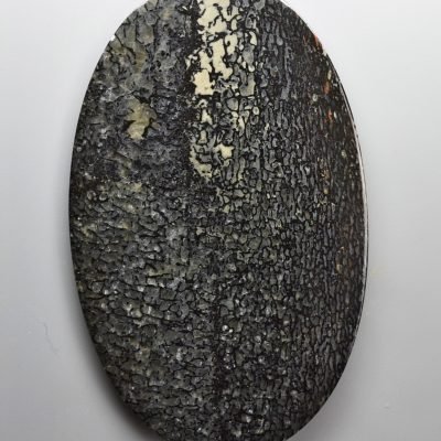 Dinosaur-bone-253.85-ct.jpg