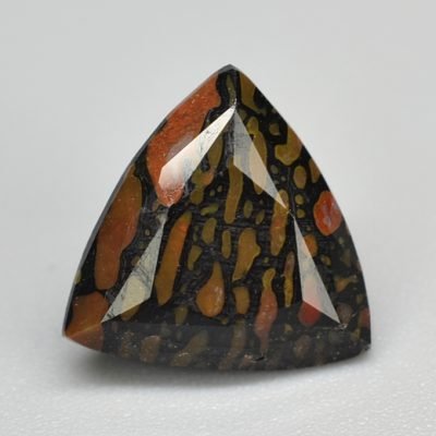 Dinosaur-bone-3.80-ct.jpg