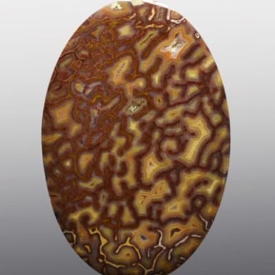 Dinosaur-bone-33.48-ct-2.jpg