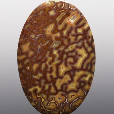 Dinosaur-bone-33.48-ct.jpg