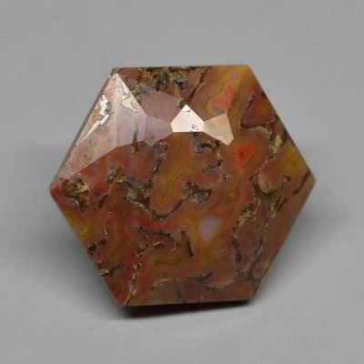 Dinosaur-bone-4.02-ct.jpg