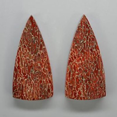 Dinosaur-bone-40.60-ct.jpg