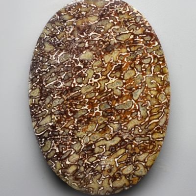 Dinosaur-bone-42.50-ct.jpg