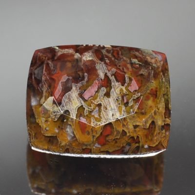 Dinosaur bone 5.09 ct.