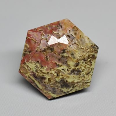 Dinosaur-bone-5.20-ct.jpg